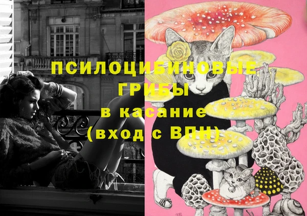 экстази Белокуриха