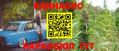 ECSTASY Кингисепп